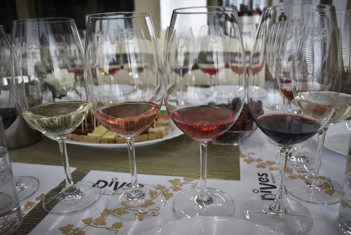 Wine Tasting in DiVes Estate Winery