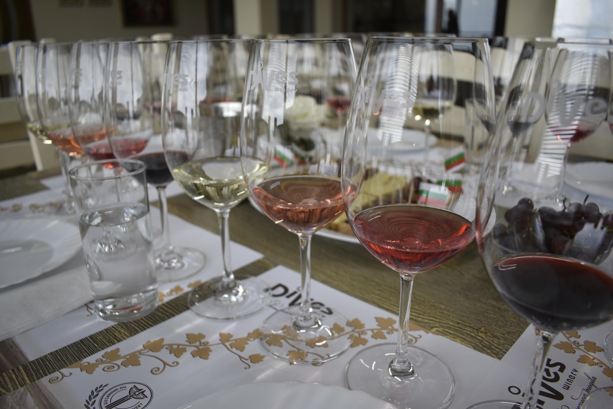 Wine Tasting in DiVes Estate Winery