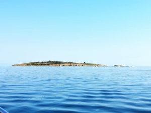 Boat Trip To St. Ivan Island From Sоzopol