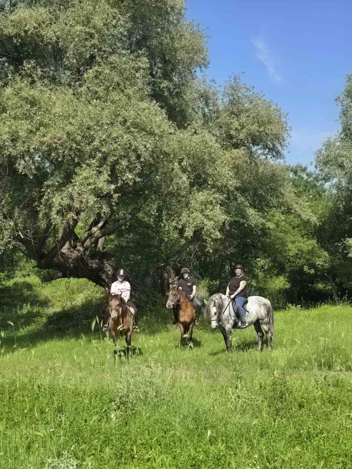 Mega Jeep Safari Sunny Beach